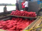 bawang-merah-ilegal_20160425_155804.jpg