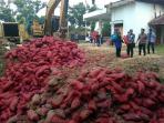bawang-merah-impor-ditimbun_20161007_134019.jpg