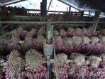 bawang-merah_20180613_100531.jpg