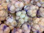 bawang-putih-garlic.jpg