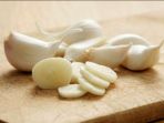 bawang-putih_20180316_192648.jpg