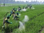 bayer-gelar-pendampingan-dan-penyuluhan-kepada-5000-petani_20190809_095103.jpg