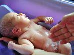bayi-baru-lahirr.jpg
