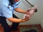 bayi-dibuang-nih2_20150803_183844.jpg