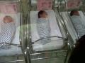 bayi-dijual.jpg