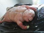 bayi-domba-menyerupai-manusia_20170625_011035.jpg