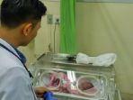 bayi-lahir-dalam-toilet-tribunmanadonielton-durado_20171031_140225.jpg