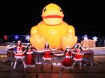 baywalk-duck-tema_20141214_171758.jpg