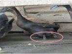 bebek-kaki4.jpg