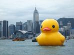 bebek-kuning_20171106_095344.jpg