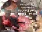 beberapa-kucing-yang-ditemukan-tewas-karena-dibantai-seseorang-di-kalideres.jpg