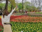 beijing-botanical-garden.jpg