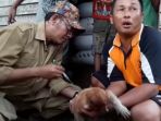 bekantan_20171107_174458.jpg
