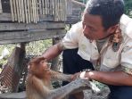 bekantan_20180815_163001.jpg