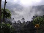 belasan-pengunjung-menjadi-korban-letupan-kawah-sileri-dieng-di-banjarnegar_20170702_145210.jpg