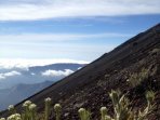 bendera-tribun-berkibar-di-puncak-gunung-rinjani_20150817_125815.jpg