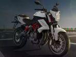 benelli-tnt600i___19.jpg