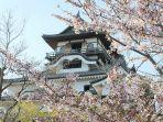 benteng-nagoya-saat-di-musim-mekar-bunga-sakura.jpg
