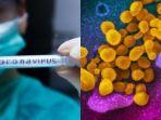 bentuk-virus-corona-di-dalam-tubuh-manusia-yang-dilihat-melalui-mikroskop-canggih.jpg