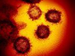 bentuk-virus-corona-di-mikroskopa.jpg