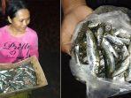 berburu-lemuru-warga-berbondong-bondong-ke-pantai-batu-bolong.jpg