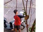 bercumbu-di-lapangan1.jpg