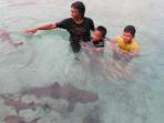 berenang-bersama-hiu_20141109_033751.jpg