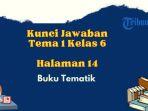 berikut-kunci-jawaban-tema-1-kelas-6-sdmi-halaman-14-subtema-1-tumbuhan-sahabatku-y.jpg