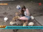 bermain-dengan-kelinci_20170831_170251.jpg