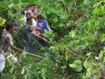 beruang-madu-lepas-berhasil-ditangkap-oleh-polhut_20150218_123619.jpg