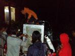 beruang-madu11233.jpg