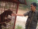 beruang-madu_20151106_200017.jpg