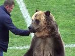 beruang-pembawa-bola-di-liga-rusia_20180419_221242.jpg