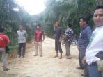 beruang2_20171003_173052.jpg