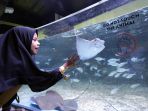 berwisata-ke-jakarta-aquarium_20181127_224748.jpg