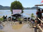 bibit-mangrove-di-desa-golo-sepang.jpg