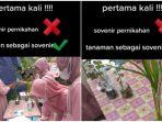 bibit-tanaman-sebagai-suvenir-pernikahan-di-purworejo-jawa-tengah-1.jpg