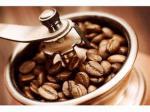 biji-kopi2.jpg