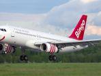 bingo-airways.jpg