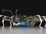 bionic-ants_20150413_194429.jpg