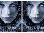 bioskop-trans-tv-underworld-ii-evolution-tayang-besok-di-trans-tv.jpg