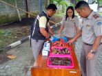 biota-laut-sitaan-dimusnahkan_20170717_094304.jpg