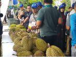 bisnis-durian-yang-kini-mulai-banyak-dilirik-orang-dengan-hasil-yang-menggiurkan.jpg