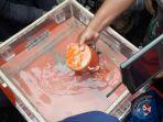 black-box-berisi-cvr-pesawat-lion-air-jt-610.jpg