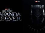 black-panther-wakanda-forever.jpg