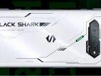 black-shark-4s.jpg