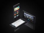 blackberry-leap_20151022_013754.jpg