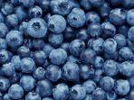 blueberry.jpg