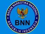 bnn-logo_20150511_164957.jpg