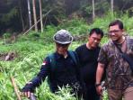 bnn-musnahkan-ladang-ganja-di-aceh_20160419_144840.jpg